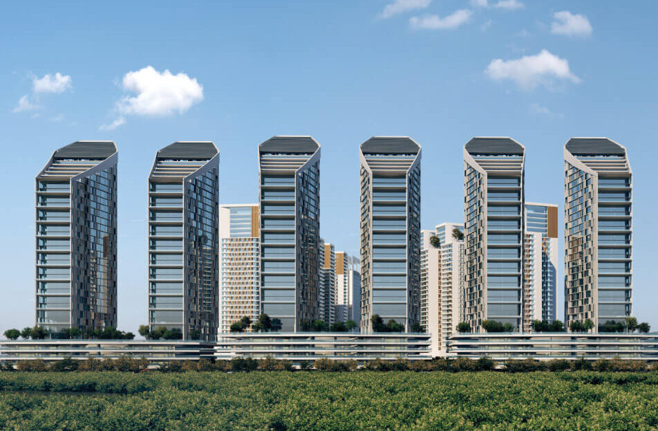 Mangrove Intro 1 952x623